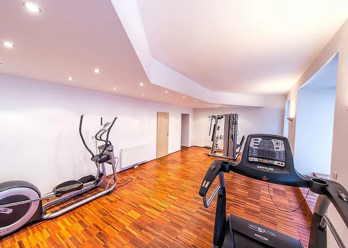 Beautiful Apartment In Vienna\'S Heart